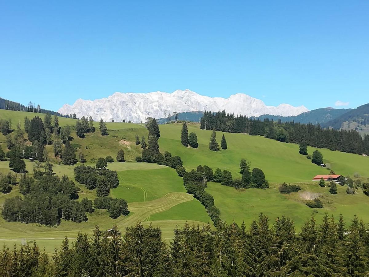 Apartment Hochkoenigblick Pilzegg Embach 외부 사진