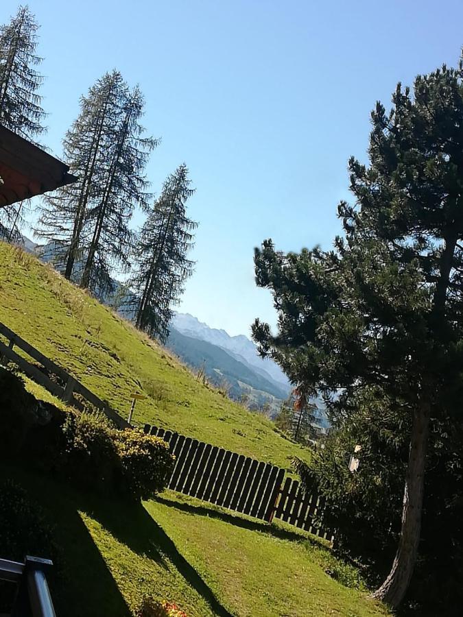 Apartment Hochkoenigblick Pilzegg Embach 외부 사진